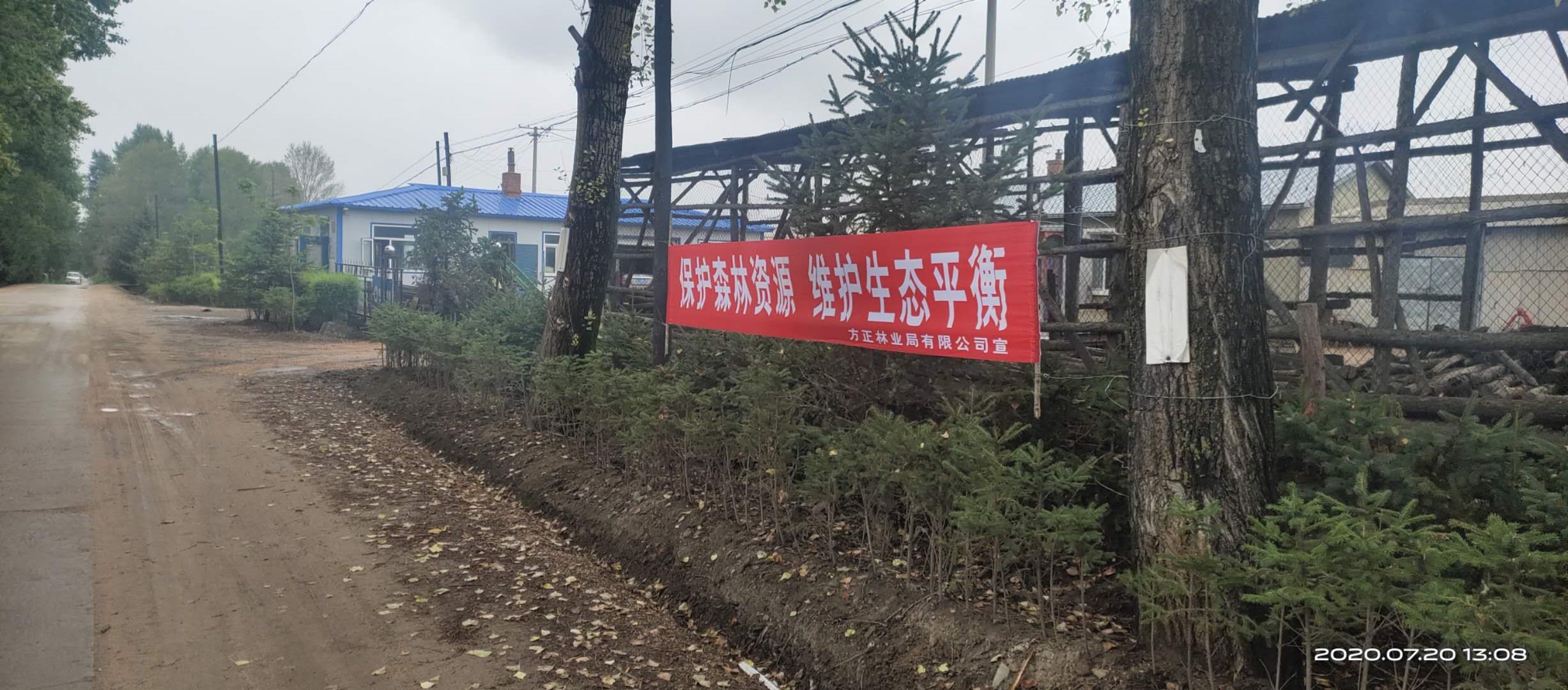 mg不朽情缘(中国区)官方网站